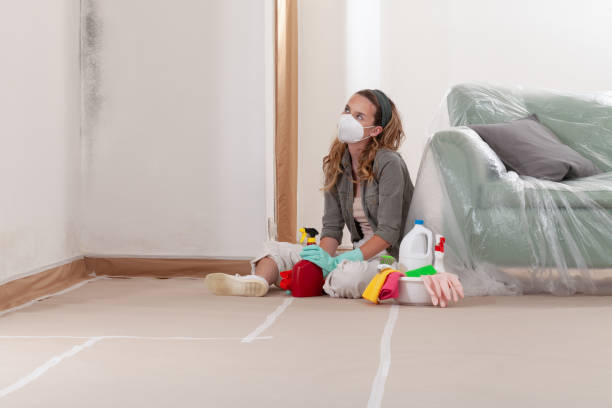 Reliable Mold Inspection contractor in Sparta, GA by WQB Mold Removal