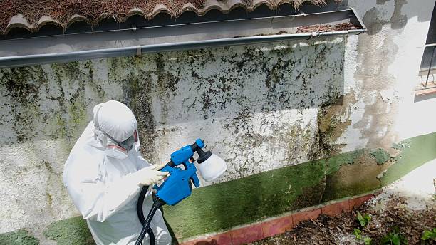 Top rated local Mold Inspection specialists in Sparta, GA